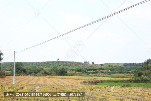 鄉(xiāng)村田地