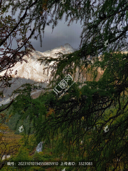 日照金山