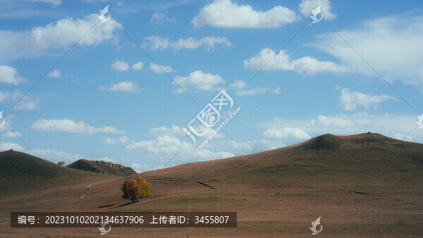 烏蘭布統(tǒng)金秋