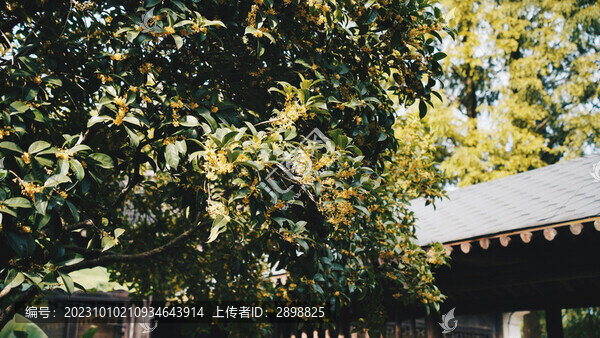 紹興蘭亭景區(qū)