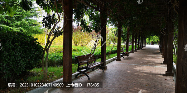 觀景長廊