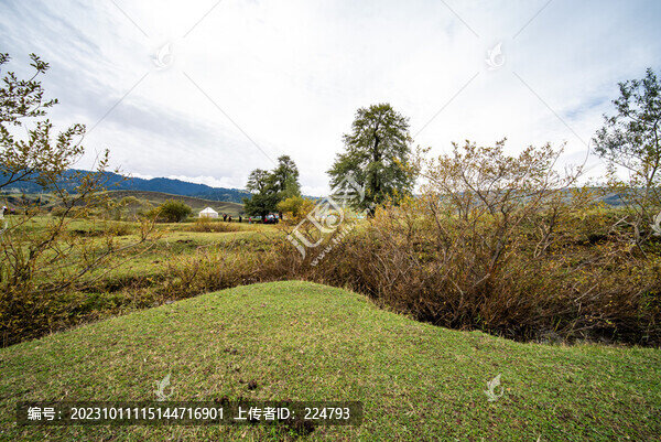 那拉提草原