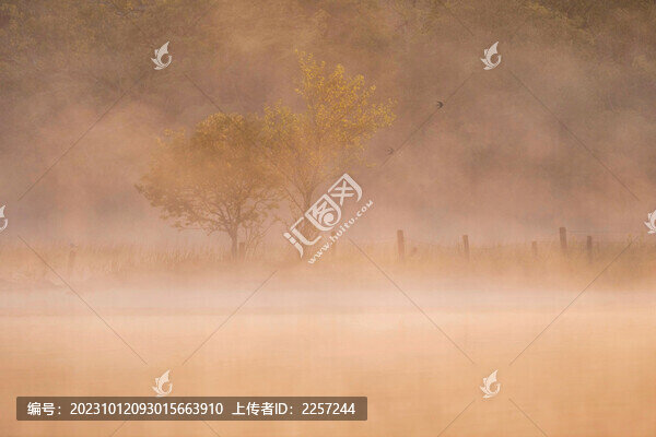 迷霧與晨霧
