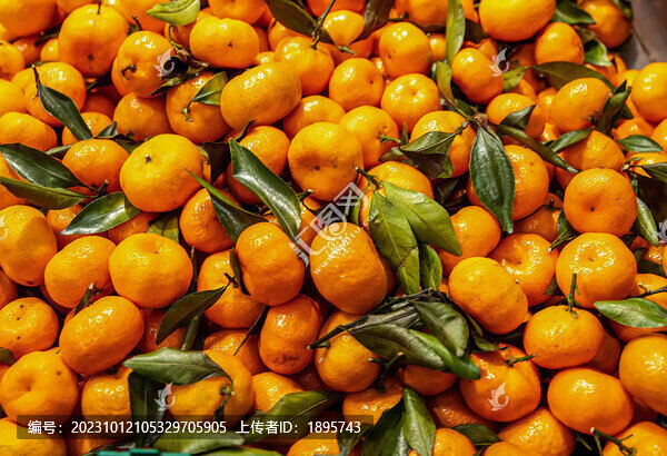 超市水果陈列新鲜橘子