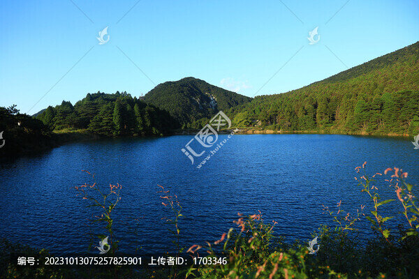風(fēng)景畫