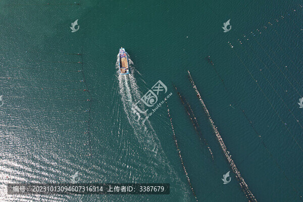 海島漁船漁民捕撈出海水產