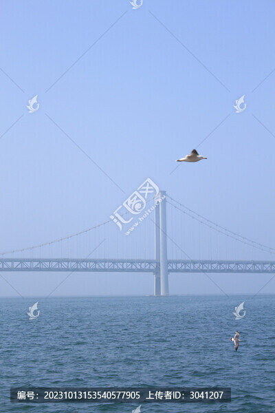 大連星海灣大橋