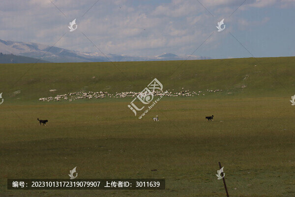 一望無際的草原