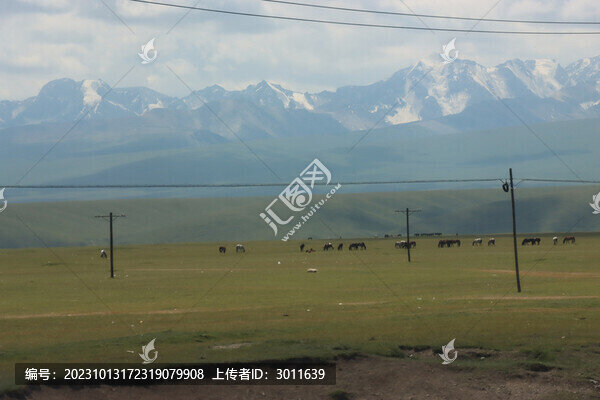一望無際的草原