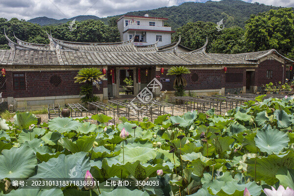 永春岵山鎮(zhèn)塘溪村