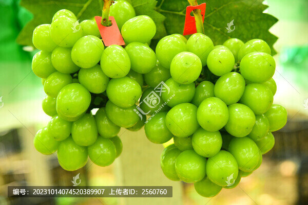 陽光玫瑰葡萄