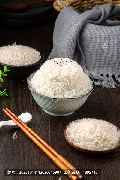 粳米白米飯?zhí)貙? title=