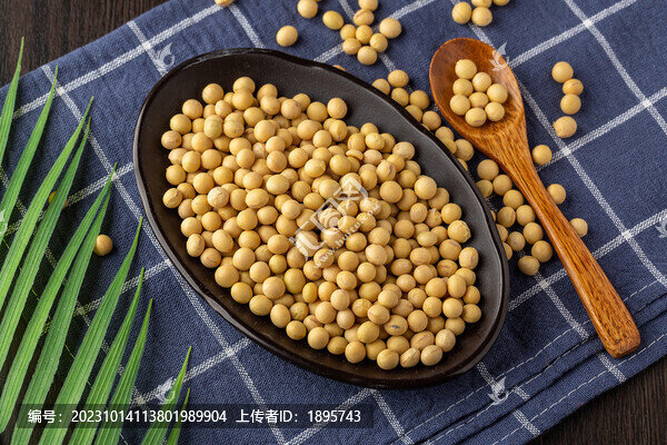 大白豆
