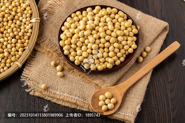 大白豆