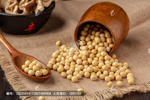 大白豆
