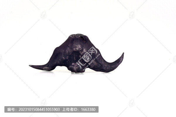 菱角