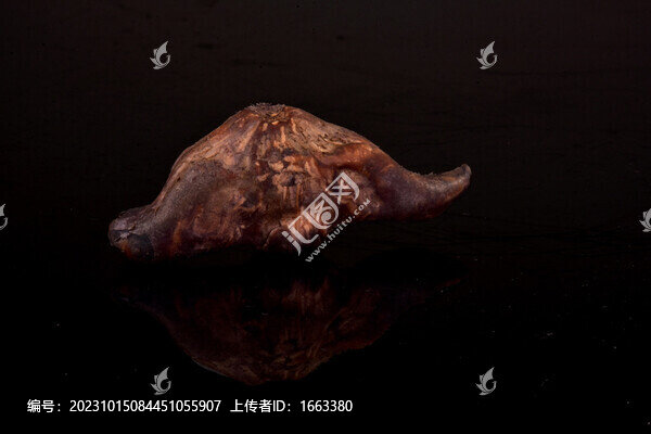 菱角