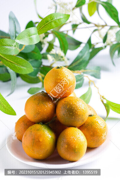 融安脆蜜金桔