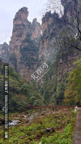 張家界金鞭溪