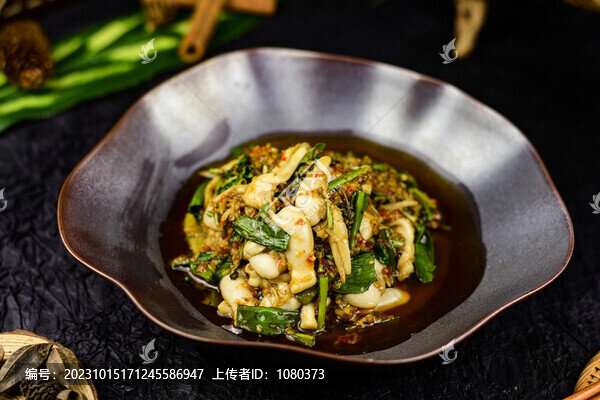 油熗指甲貝