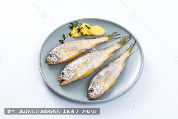 深海小黃花魚