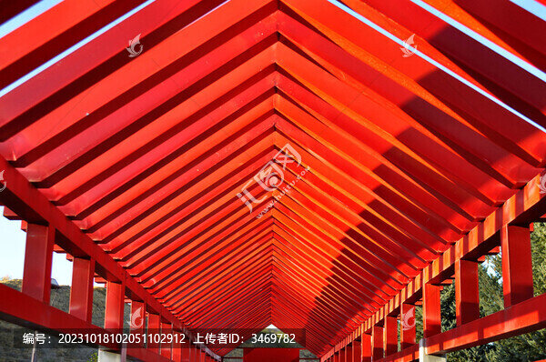 滿堂紅