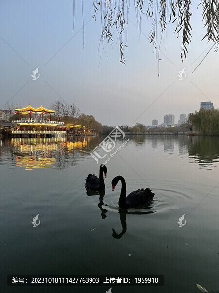 天津水上公園