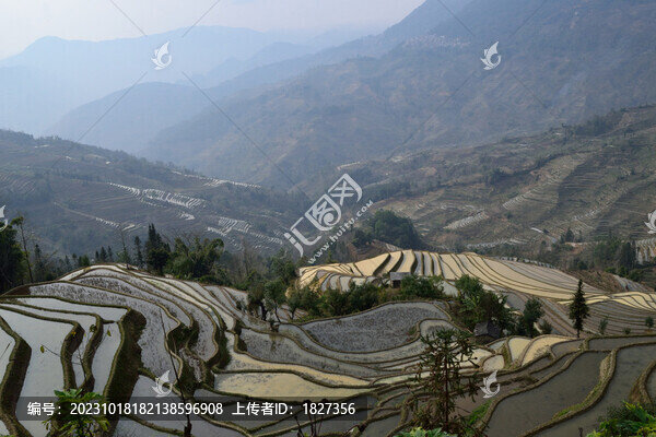 元陽(yáng)梯田