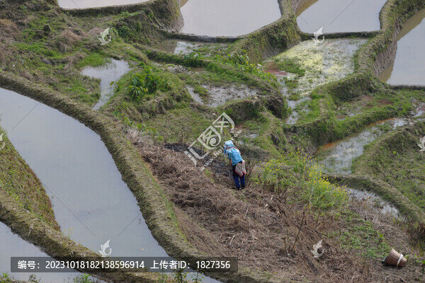 元陽(yáng)梯田