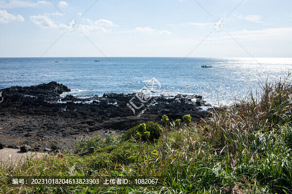 濟(jì)州島牛島