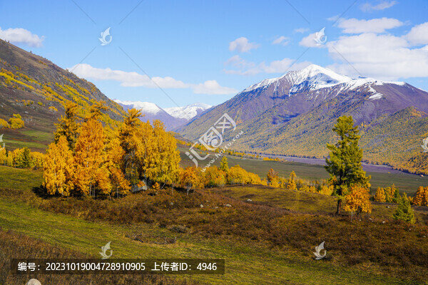 秋日山色