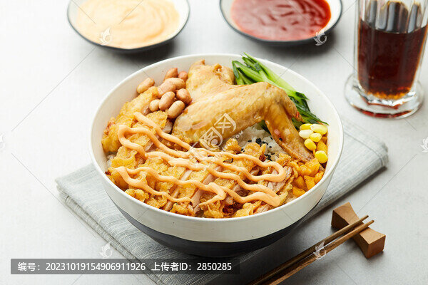 鹵水雞翅拼脆皮雞飯