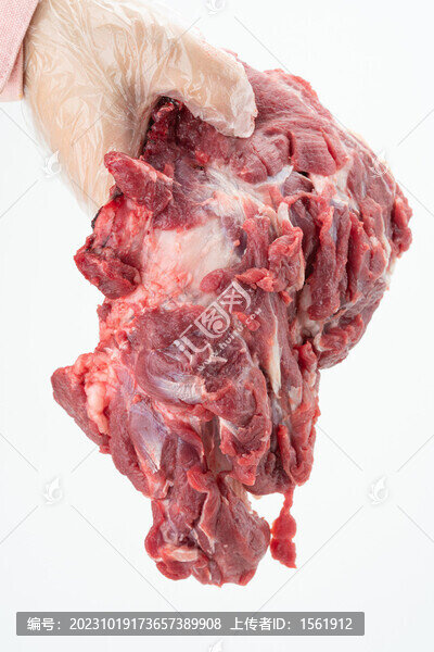 生鮮羊腿肉