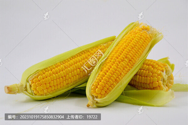 玉米棒