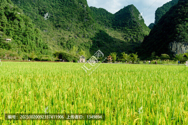 鄉(xiāng)村旅游