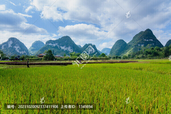 鄉(xiāng)村旅游