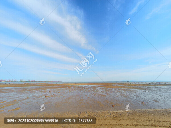退潮后的沙灘