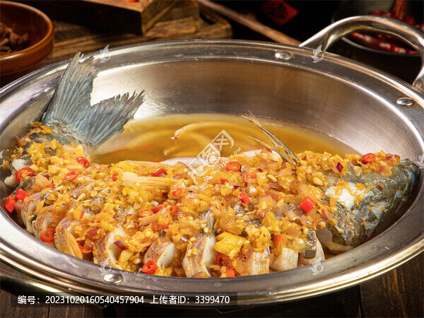 跳水魚