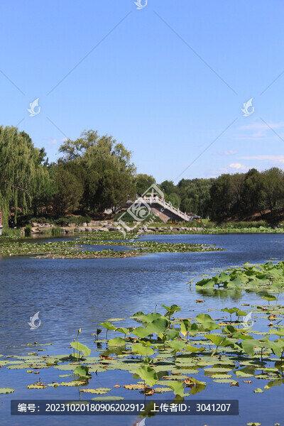 圓明園長春園景區(qū)