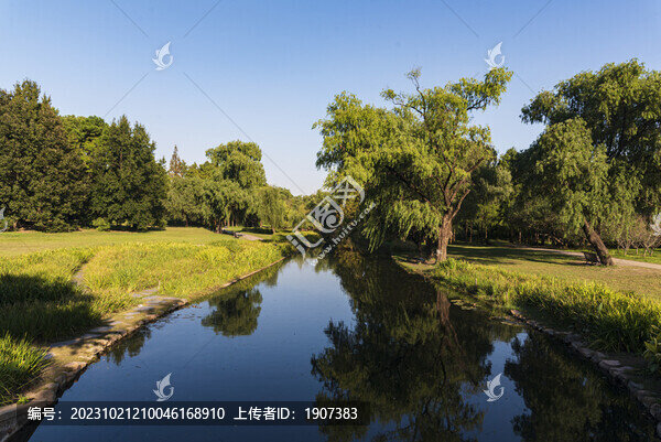 上海共青森林公園