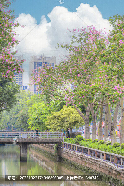 異木棉河畔綠道