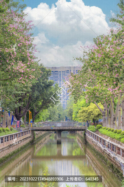 異木棉河畔綠道
