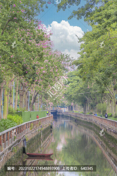 異木棉河畔綠道
