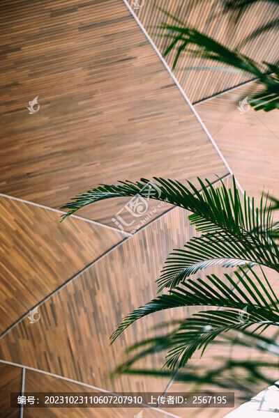 無人有植物背景