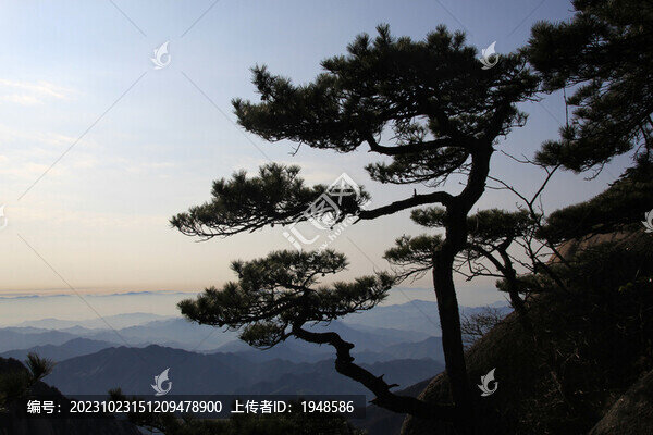 黃山風(fēng)光