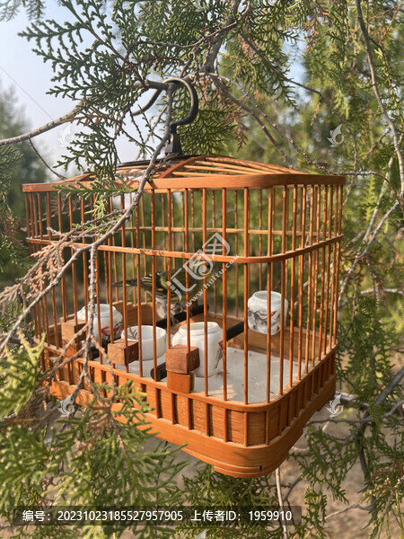 鳥籠子