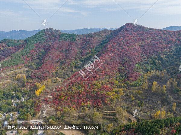 濟(jì)南彩石斷苕村紅葉