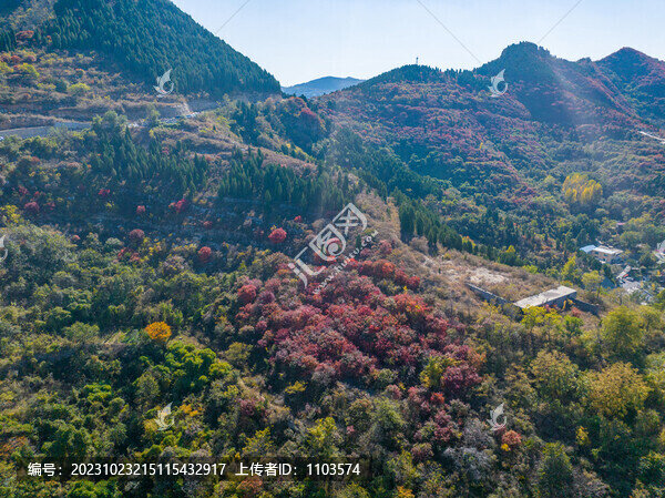 濟(jì)南彩石劈山紅葉