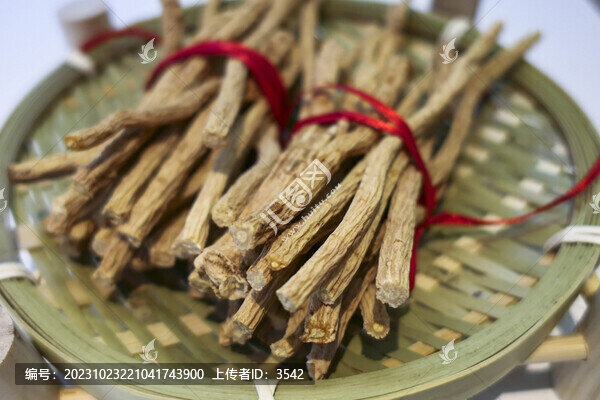 黨參