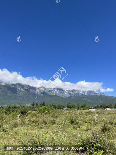 高山草甸
